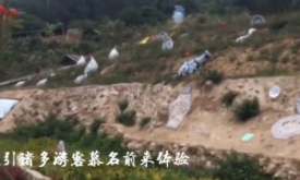 ̽�ú�˿֮Դ����ƽ����ʤҤ��ַ ƽ������ʤҤ��ַ����