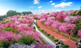 ����ȷ�ֱ�������С�������������ɽ���̵������������