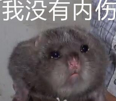 华农兄弟竹鼠中暑是什么梗和意思 竹鼠别吃我