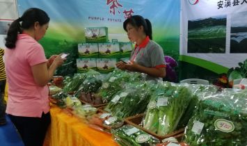 现场展示农家的蔬菜，翠绿诱人