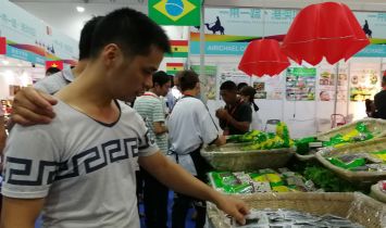 一带一路沿线国家带来当地特色产品