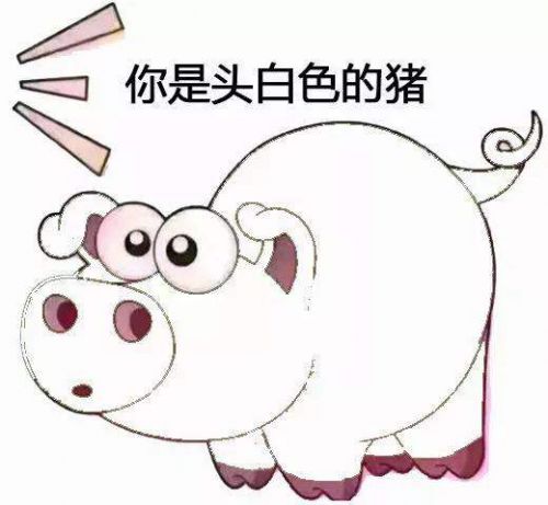 抖音你是头粉色猪表情包头像图片 七彩猪gif动图分享