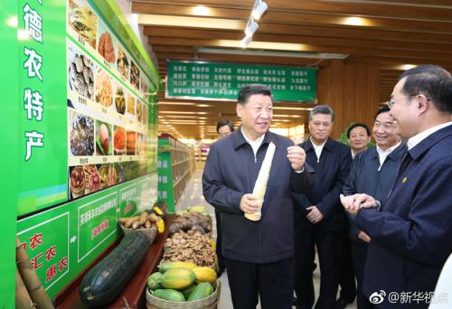 习近平在清远调研