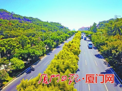 厦门杏海嵩道路尽显生态美 创建养护标准化示范路
