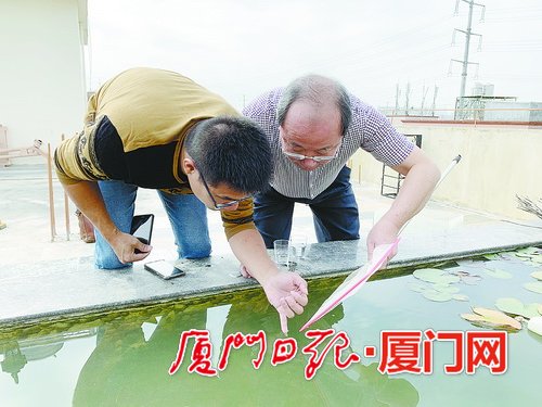 楼顶水池中现小水母 专家鉴定为珍稀的桃花水母