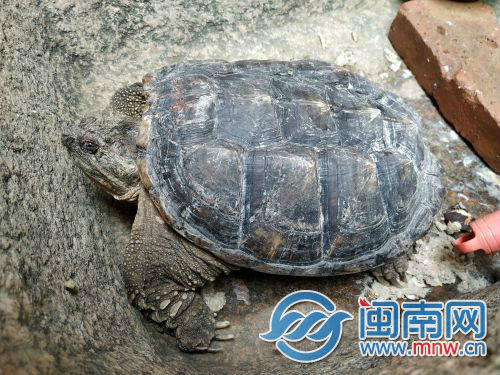 QQ图片20181229174117