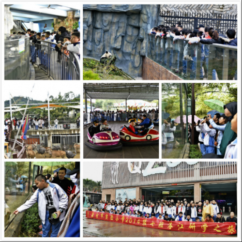 “悠游洛江”成为校园研学旅游新“宠儿”