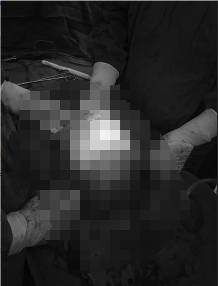 QQ图片20191024174851