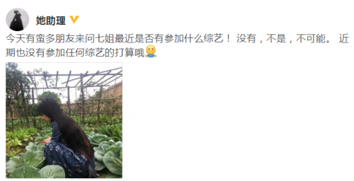 李子柒参加录制《野生厨房》？李子柒助理回应没有参加综艺