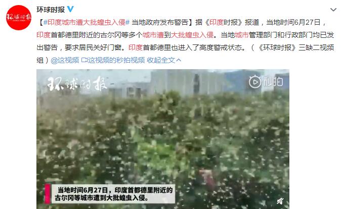印度多个城市遭大批蝗虫入侵 当地政府发布警告