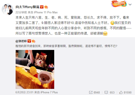 向太回应郭碧婷深夜发文：她想传递正能量却被误解