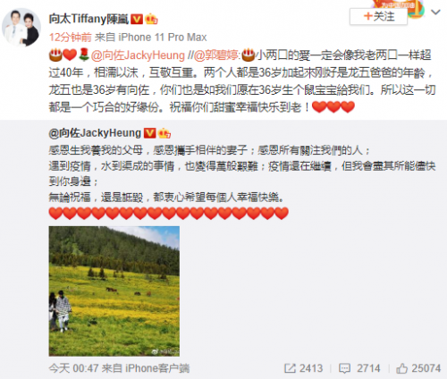向太官宣郭碧婷怀孕 郭碧婷怀孕多久了预产期什么时候