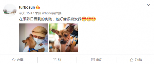  孙俪领养日遇到喜欢的流浪犬 怀抱狗狗画面温馨