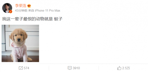 李荣浩称恨蚊子却晒狗狗萌照 被问原因他这样回答