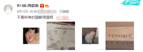 周震南被猫抓伤晒狂犬疫苗单 河洛洛搞笑回应