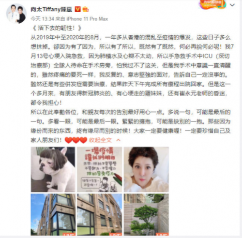 向太自曝上个月突发心梗入院 称活下去需要韧性