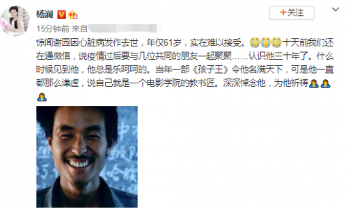  杨澜发文悼念谢园：难以接受 十天前我们还在联系