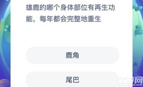 雄鹿的哪个身体部位有再生功能,每年都会完整地重生 蚂蚁庄园8月21日答案