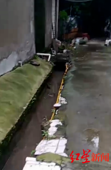 红星新闻|成都5岁男童失联8天：李子涵资料照片 曾进入监控盲区