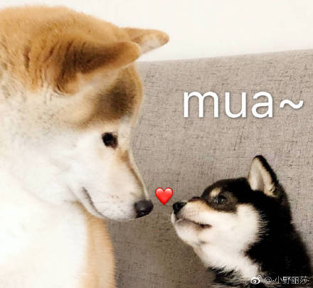 闽南网|国庆结婚祝福语简短 送给好朋友闺蜜的结婚祝福贺词