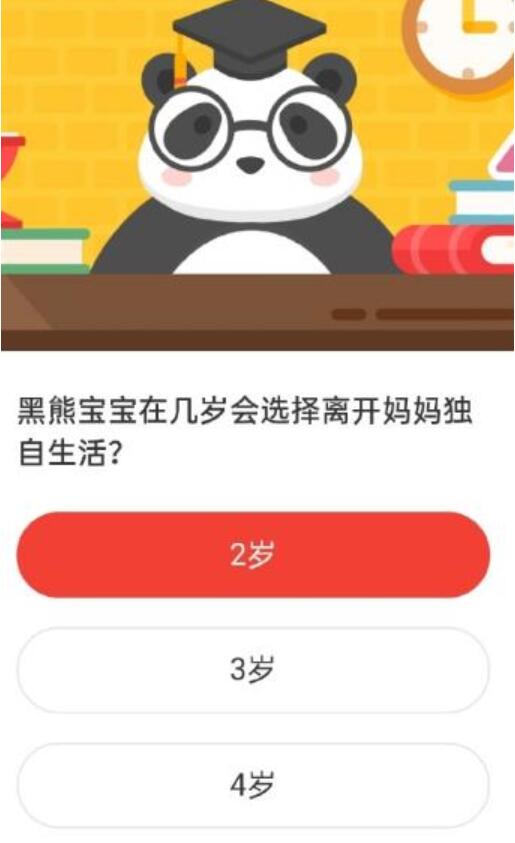 黑熊宝宝在几岁会选择离开妈妈独自生活 森林驿站今天答案最新