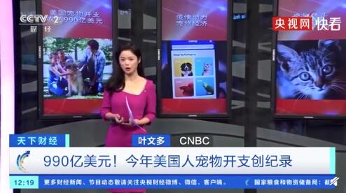 美国人今年宠物开支达990亿美元 包括大量宠物食品消费