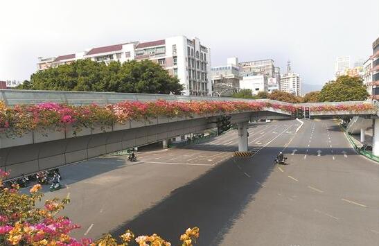 泉州市区常用绿化植物400多种 构成城市绿肺