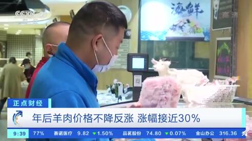 羊肉涨价近30%！养殖场却说：不敢增加存栏量