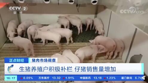 猪肉价格跌破每斤15元 创近19个月新低