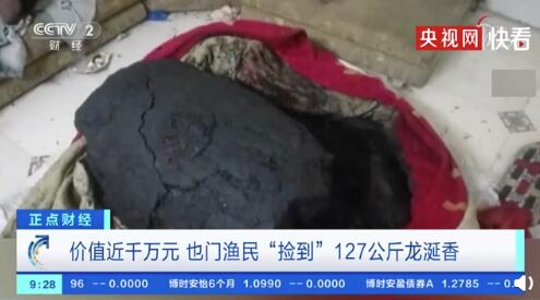 也门渔民捡到127公斤龙涎香 价值近千万元人民币