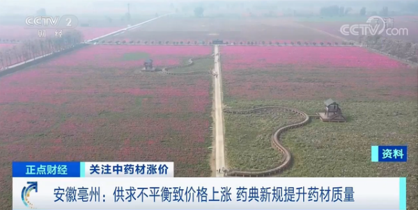 中药材大规模涨价 不少品种涨幅超过100%