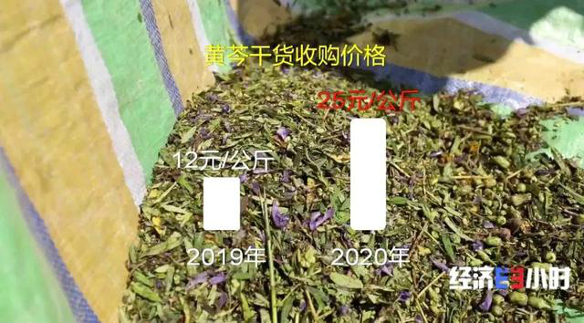 中药材掀&ldquo;涨价潮&rdquo; 返乡大学生回家&ldquo;种药&rdquo;，年入超40万