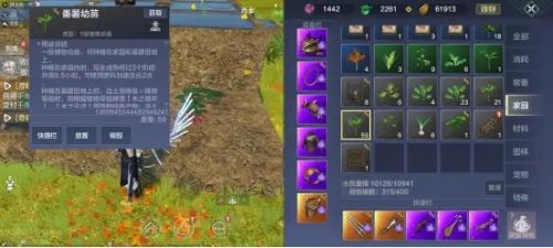 妄想山海家园种植怎么玩 妄想山海家园种植攻略