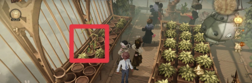 哈利波特不同的植物有不同的用途 哈利波特11.3拼圖尋寶