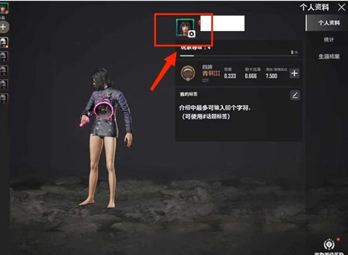 绝地求生未来之役怎么改旗子 绝地求生未来之役改旗子方法教程