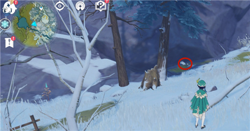 原神雪狐在哪里 原神雪狐位置介绍