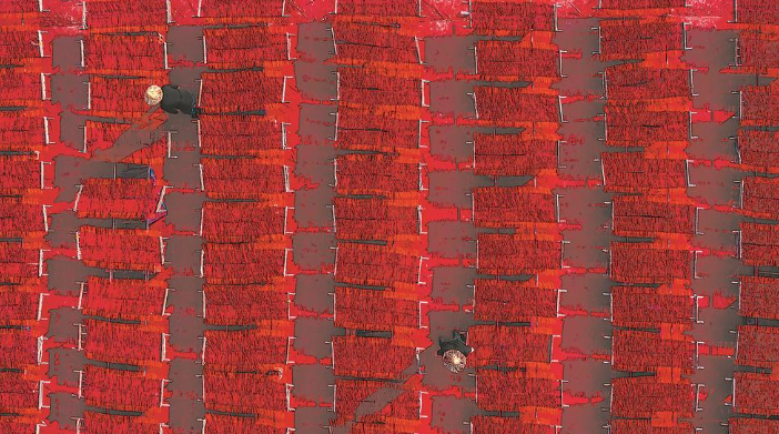 永春：“香”伴新春