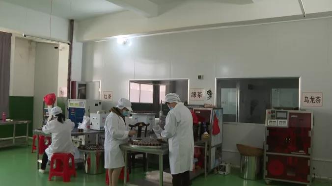 泉港：优化营商环境 支持民营发展