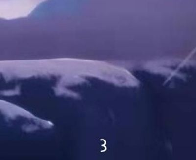 光遇地圖大偵探地圖推理答案是什么 光遇地圖大偵探地圖推理答案分享