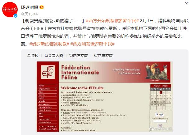 俄罗斯的猫被制裁