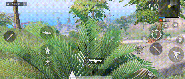 和平精英度假岛苟分点有哪些?和平精英度假岛苟分点位置