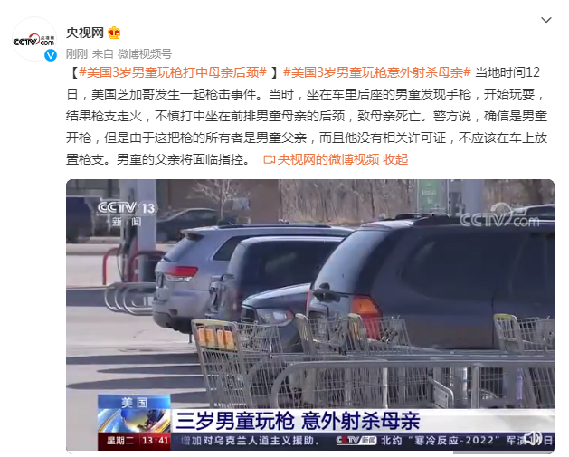 美国3岁男童玩枪意外射杀母亲