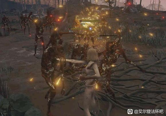 艾尔登法环1.04什么武器厉害？艾尔登法环1.04主流武器强度介绍