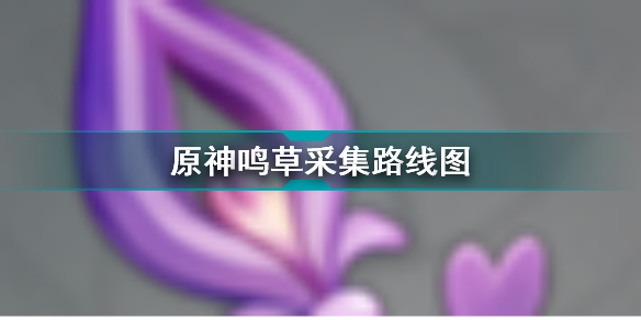 原神鸣草在哪里采集?原神鸣草采集路线图刷新地点推荐