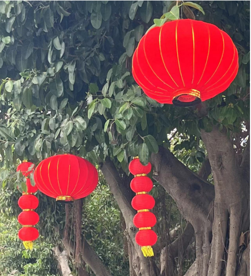 微信截图_20230116163205