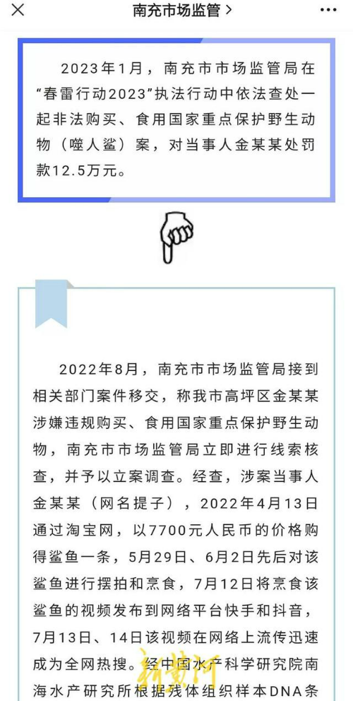 网红博主烹食噬人鲨被罚12.5万