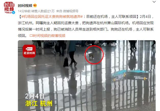 机场回应因托运太贵狗狗被就地遗弃 狗还在主人可联系领回