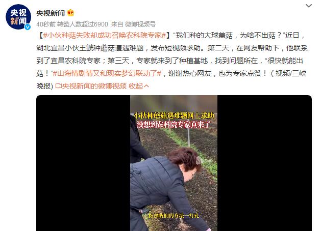 小伙种菇失败却成功召唤农科院专家 最终找到问题所在