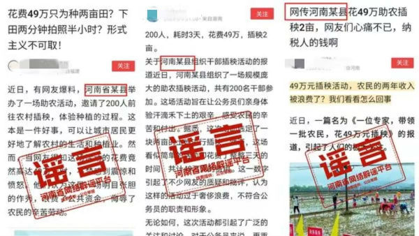官方回应干部3天花49万插秧2亩助农：不属实