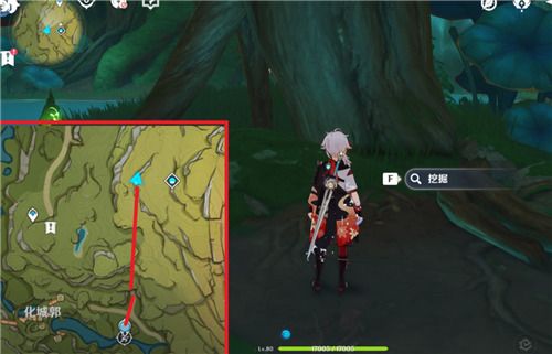 原神森林书第9幅图的宝箱怎么开?森林书第9幅图的宝箱具体位置解锁方法